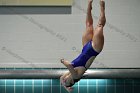 Women's Diving  Wheaton College Women’s Diving vs Mount Holyoke College. - Photo by Keith Nordstrom : Wheaton, Swimming & Diving